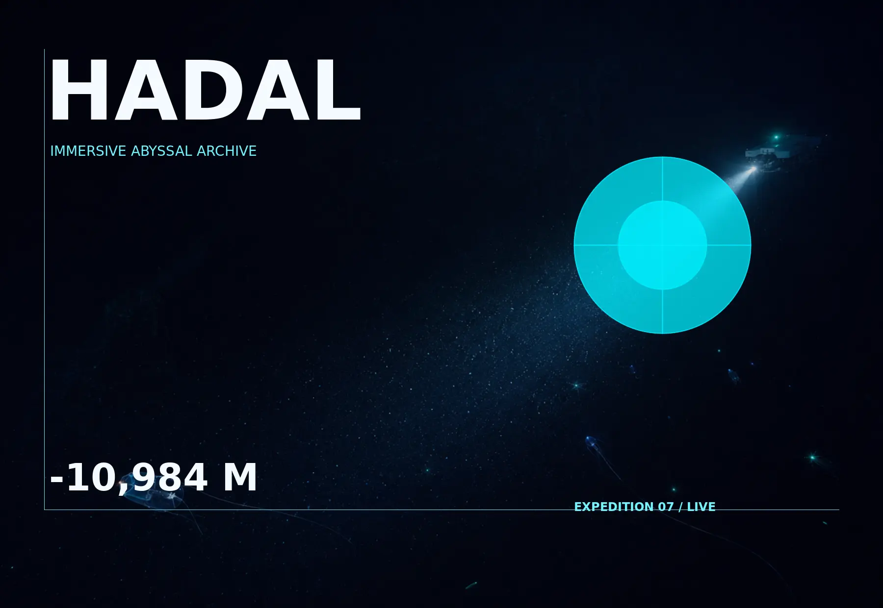 HADAL web deneyimi